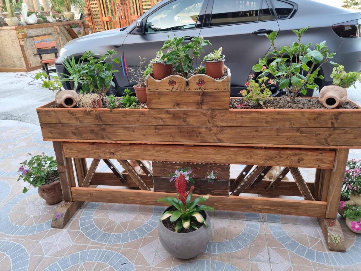 Villa Jolanda & Carmelo Agrigento Bagian luar foto